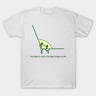 You Need To Have the Right Angle of Life Funny Math T-Shirt